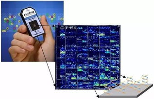 从层析荧光到微流控生物芯片 POCT技术演进与集成电路芯片设计的融合