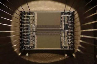 科技快讯 董明珠跨界造车亮相引争议 马斯克成立新AI公司探索人机交互